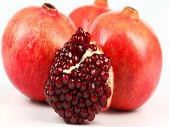 ウロリチンAは加齢に伴う筋肉減少の新しい可能性を提供します